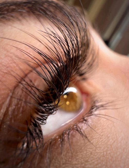 WhatsApp Image 2025-11-03 at 21.13.17_dea6e8ef